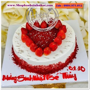Bánh Sinh Nhật Tiramisu - T33